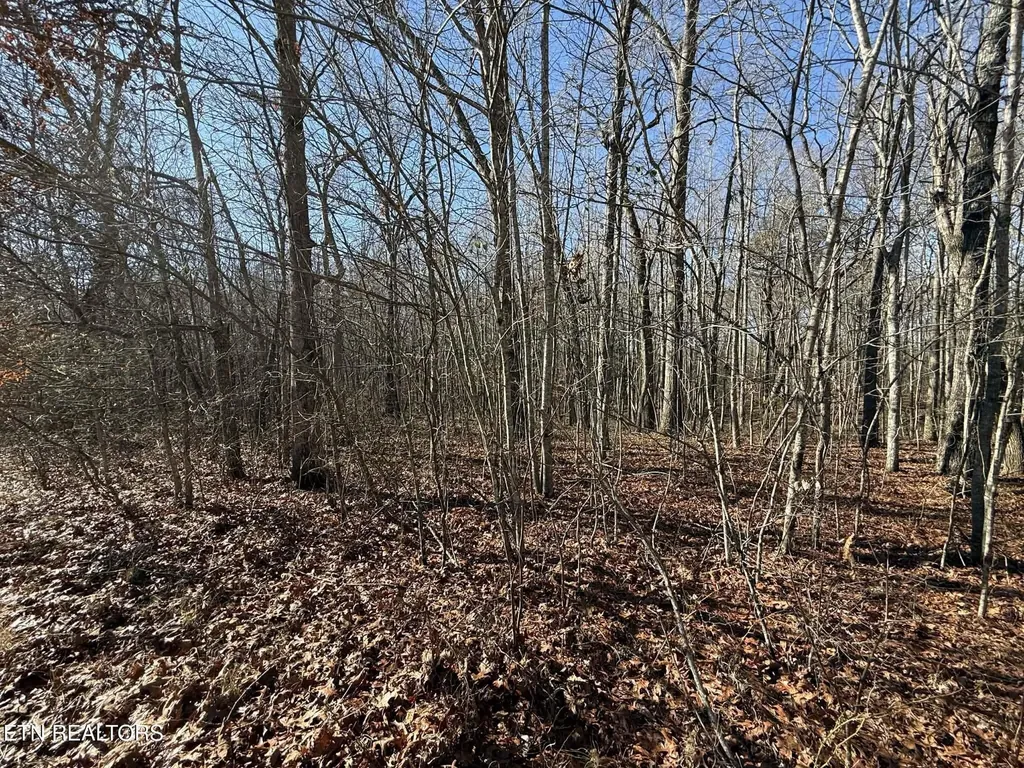 0 Georgee Road, Lot 14 Jamestown TN 38556