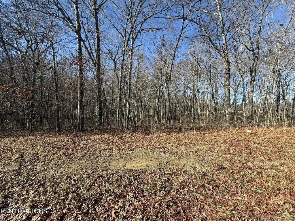 0 Georgee Road, Lot 14 Jamestown TN 38556