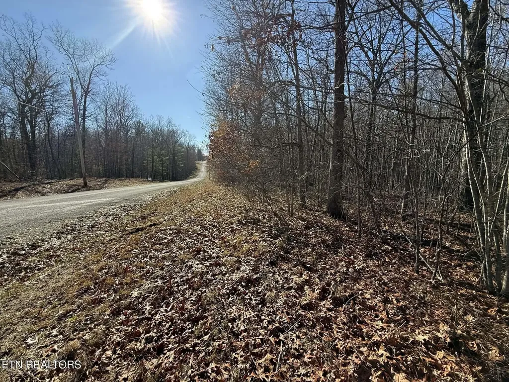 0 Georgee Road, Lot 14 Jamestown TN 38556