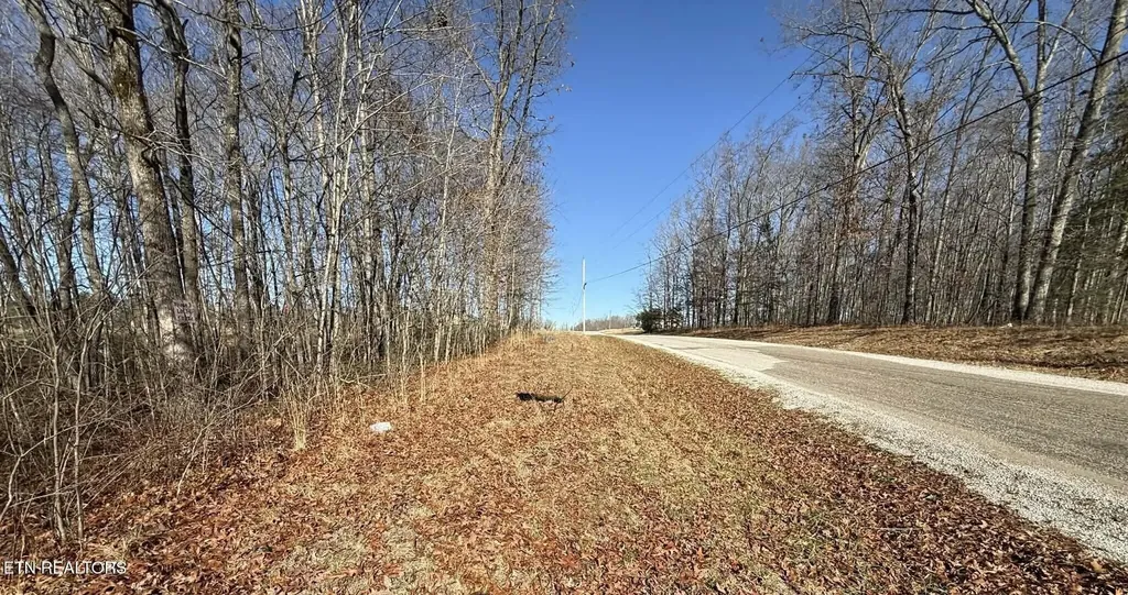0 Georgee Road, Lot 14 Jamestown TN 38556