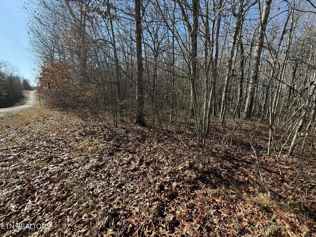 0 Georgee Road, Lot 14 Jamestown TN 38556