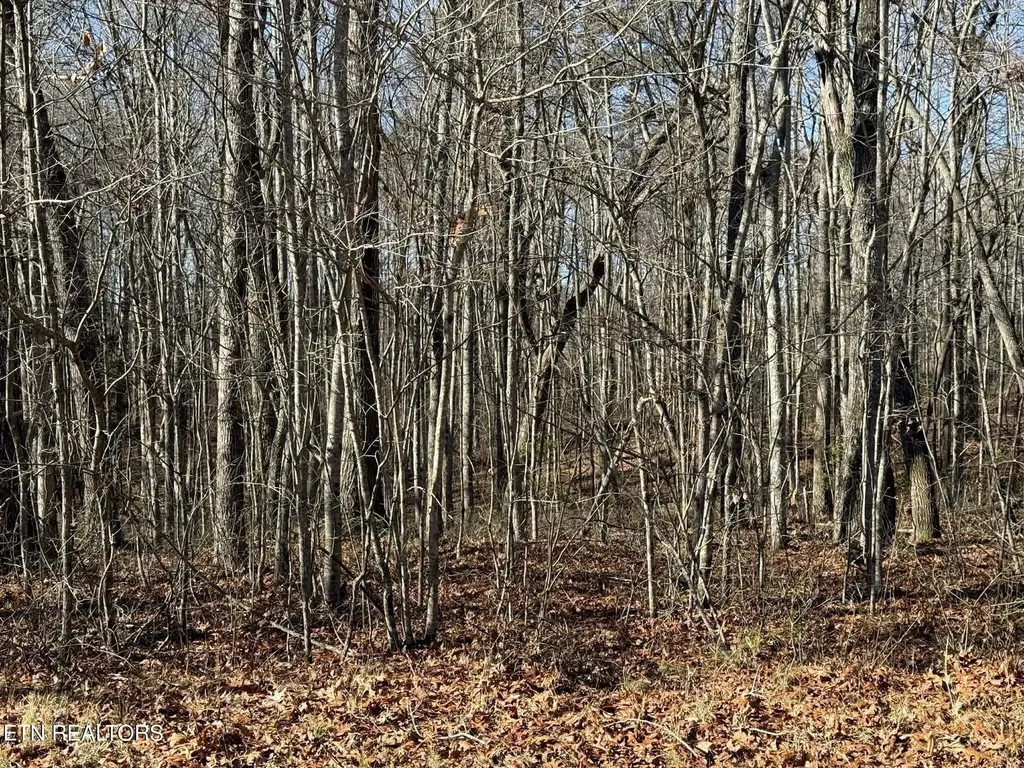 0 Georgee Road, Lot 14 Jamestown TN 38556