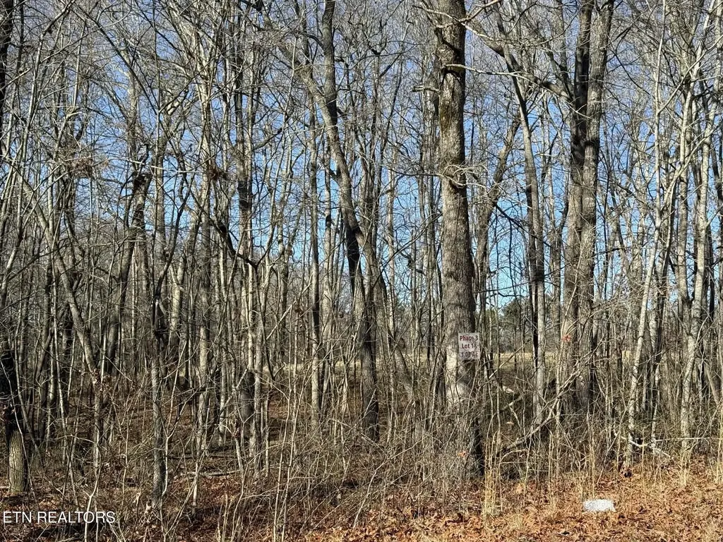 0 Georgee Road, Lot 14 Jamestown TN 38556
