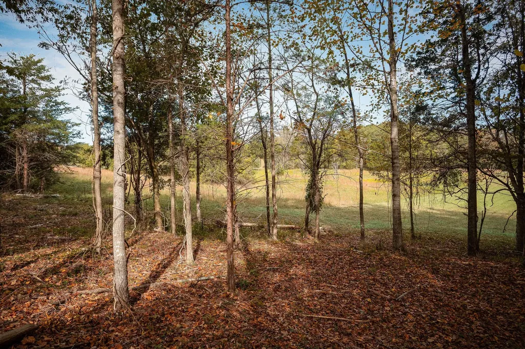 0 Goodbar Road Rock Island TN 38581