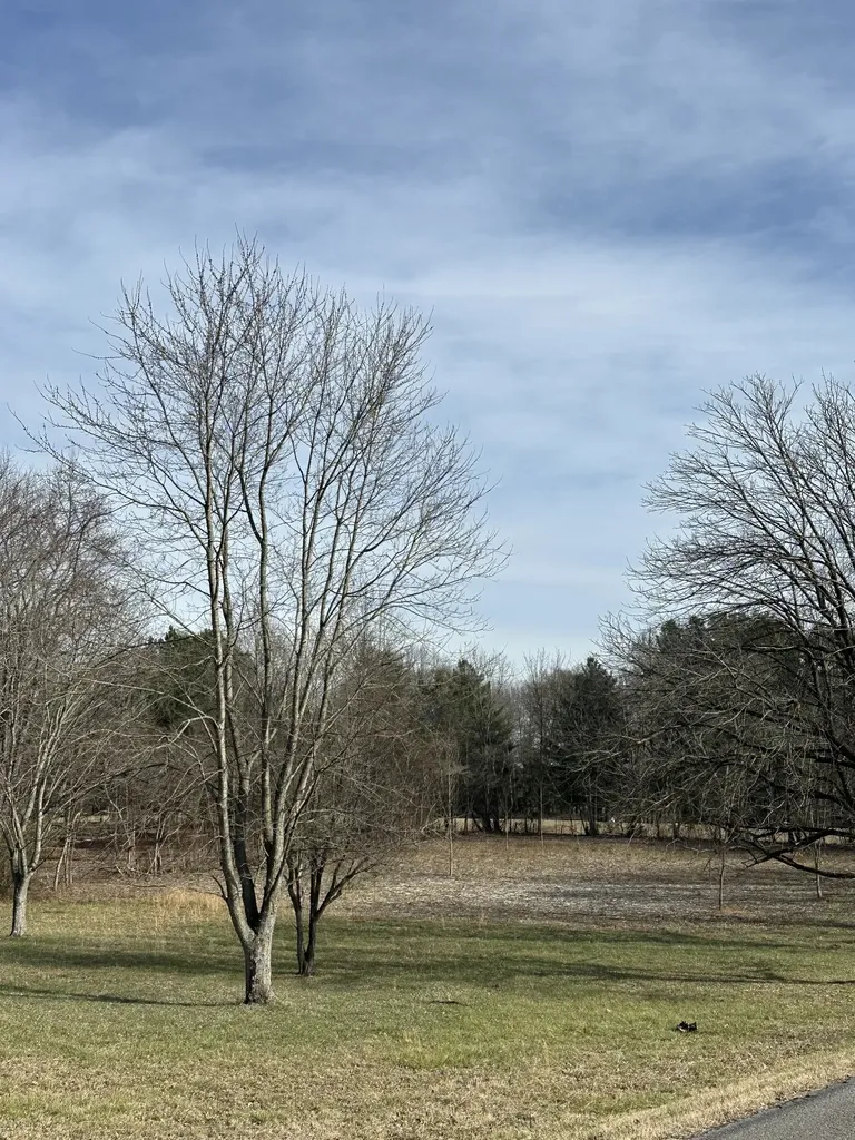 1991 Raymond Hodges Road Cottontown TN 37048
