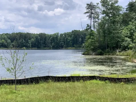 312 Hemlock Cove Tracy City TN 37387