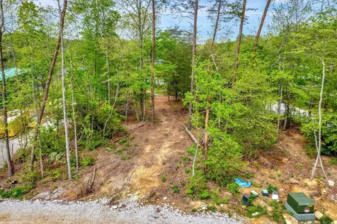 312 Hemlock Cove Tracy City TN 37387
