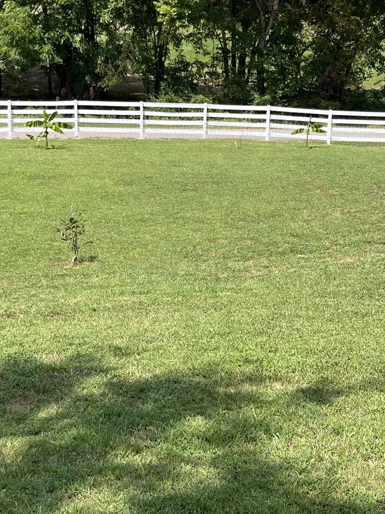 255 Saint Marys Road Buffalo Valley TN 38548
