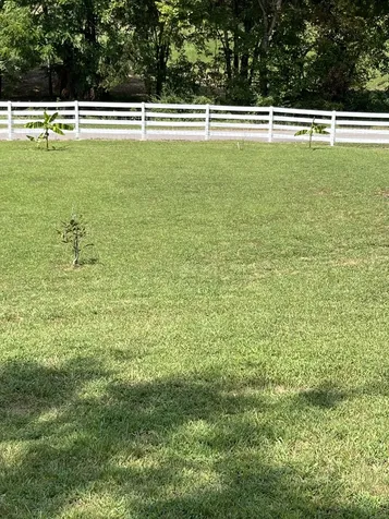 255 Saint Marys Road Buffalo Valley TN 38548