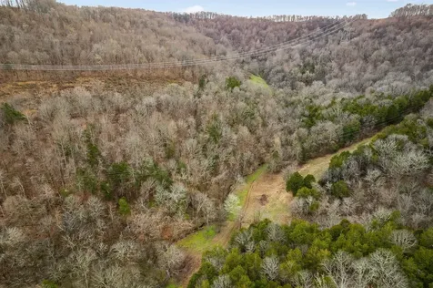 0 Lancaster Highway Hickman TN 38567