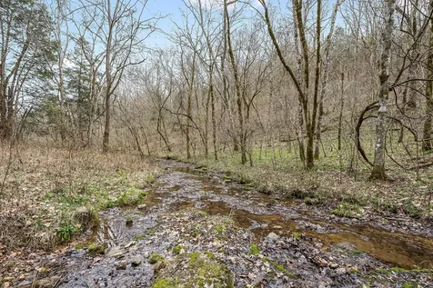 0 Lancaster Highway Hickman TN 38567