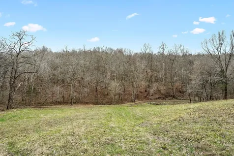 0 Lancaster Highway Hickman TN 38567