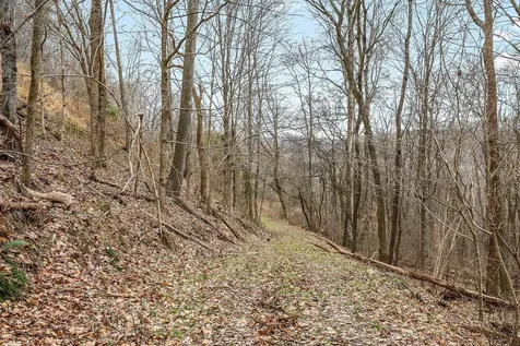 0 Lancaster Highway Hickman TN 38567
