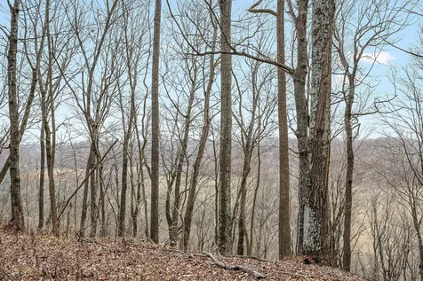0 Lancaster Highway Hickman TN 38567