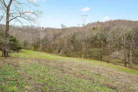 0 Lancaster Highway Hickman TN 38567