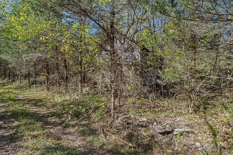 0 Lancaster Highway Hickman TN 38567