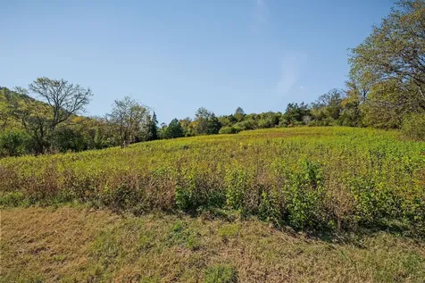 0 Lancaster Highway Hickman TN 38567