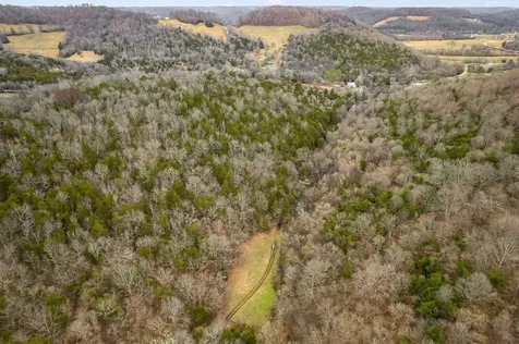 0 Lancaster Highway Hickman TN 38567