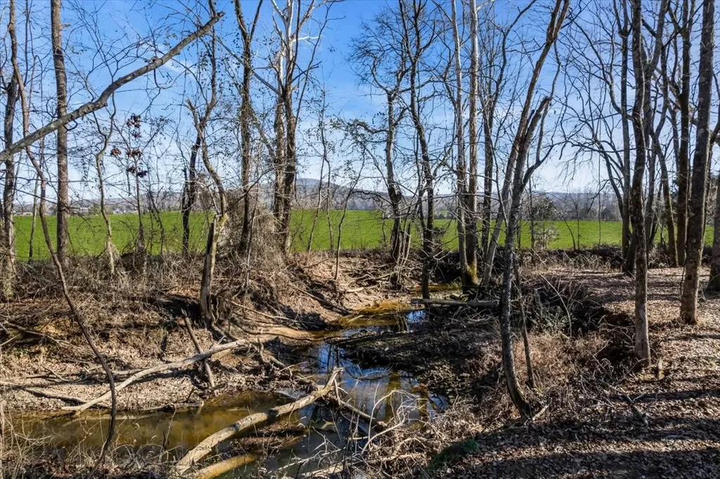 251 Miller Road Hillsboro TN 37342