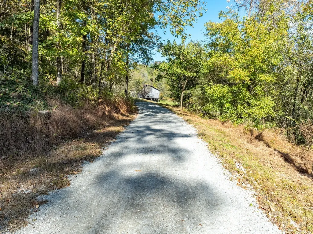 564 Mt Olive Cemetery Road Lynnville TN 38472