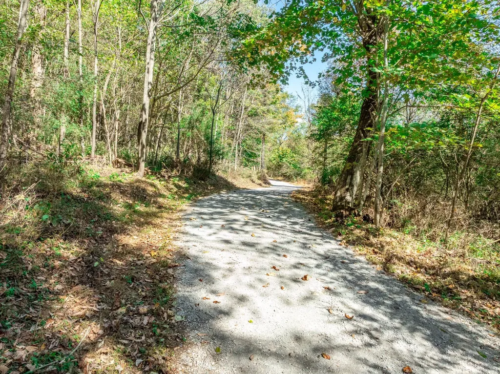 564 Mt Olive Cemetery Road Lynnville TN 38472