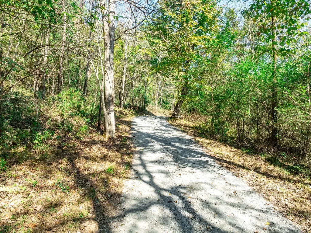 564 Mt Olive Cemetery Road Lynnville TN 38472