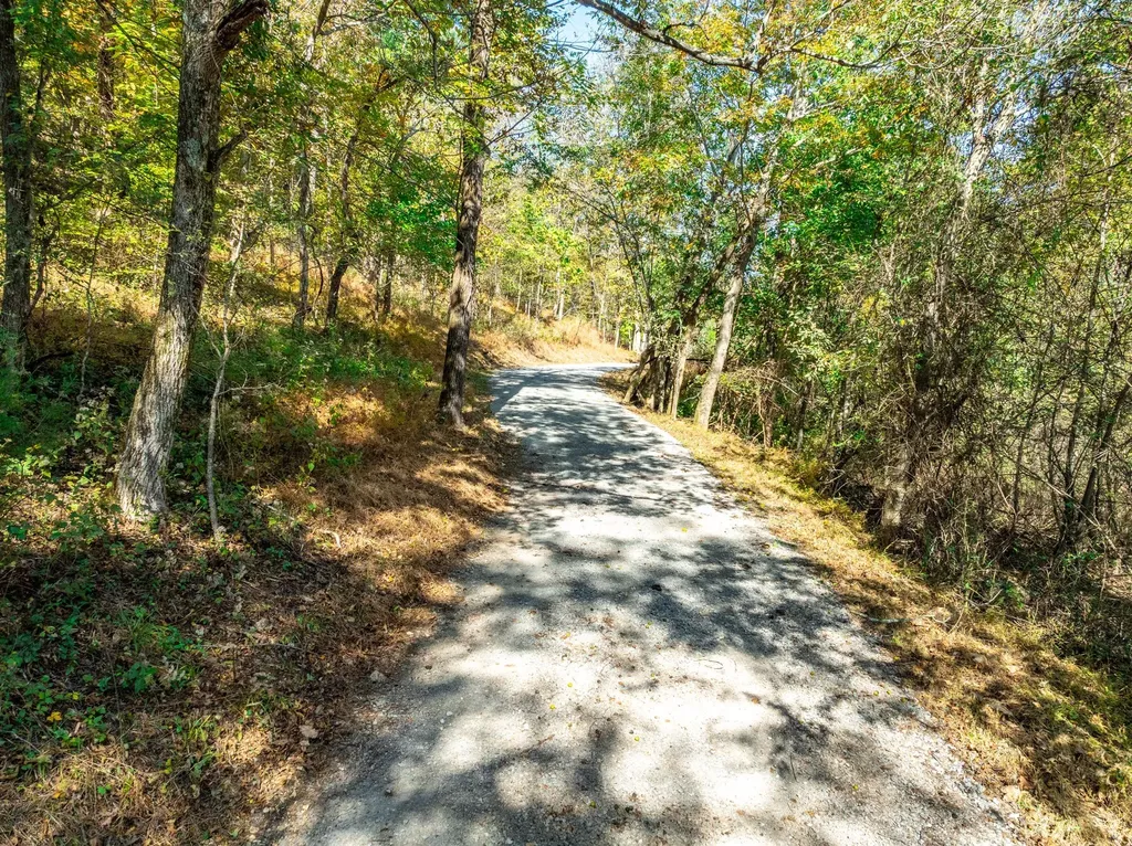 564 Mt Olive Cemetery Road Lynnville TN 38472