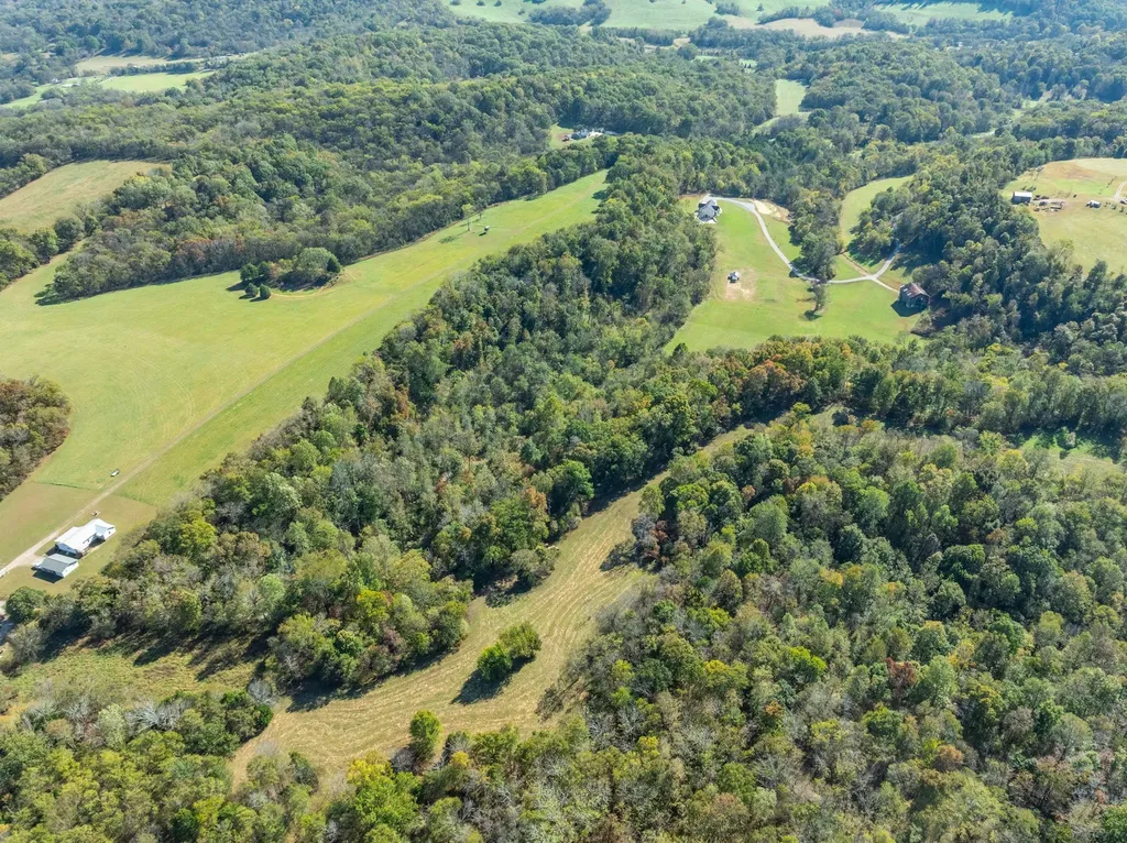 564 Mt Olive Cemetery Road Lynnville TN 38472