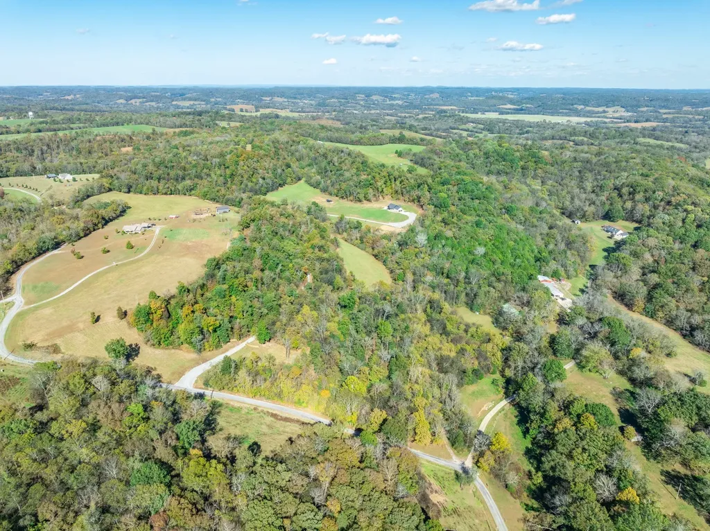 564 Mt Olive Cemetery Road Lynnville TN 38472