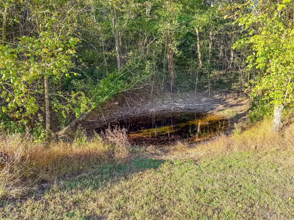 564 Mt Olive Cemetery Road Lynnville TN 38472