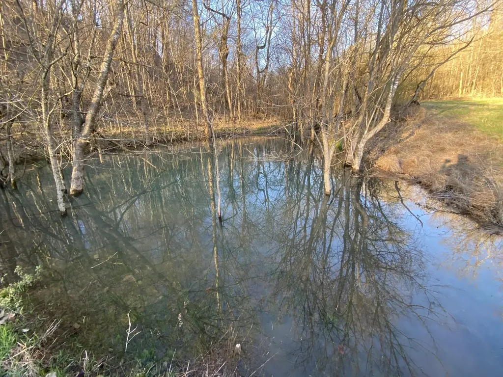 564 Mt Olive Cemetery Road Lynnville TN 38472