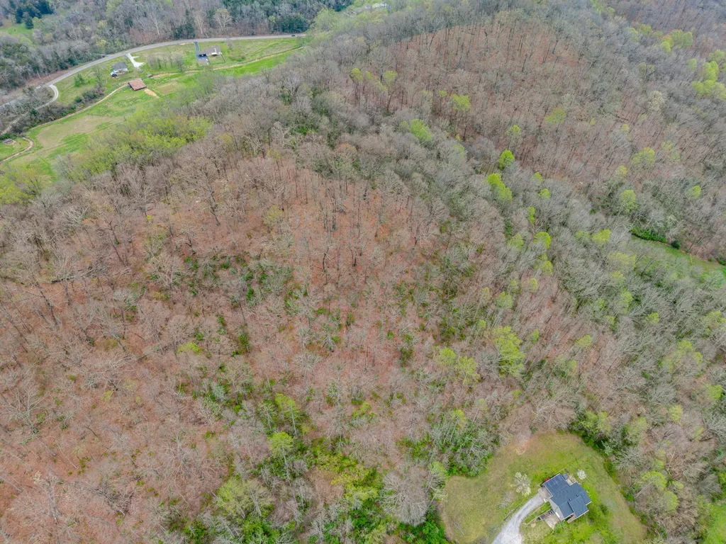 3966 Taz Hyde Road Nashville TN 37218