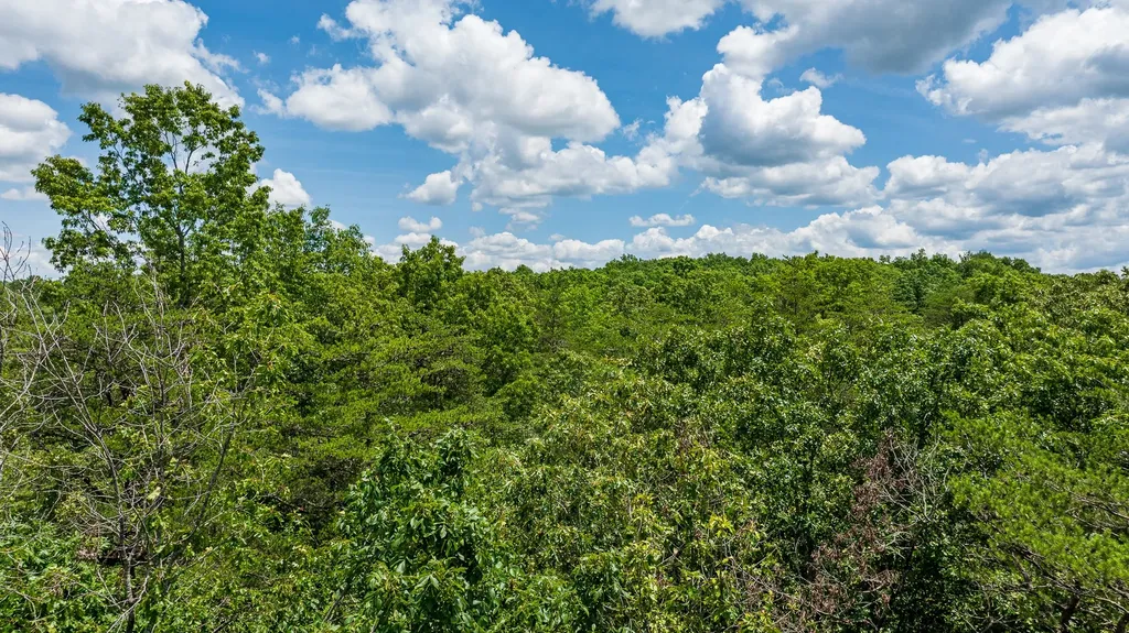 5011 Ostego Drive Crossville TN 38572