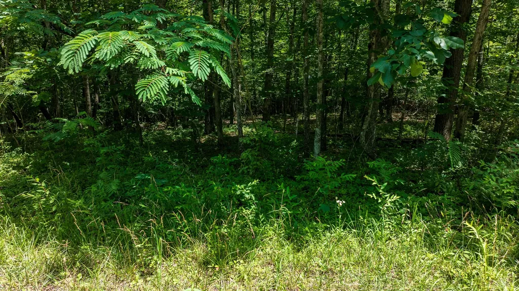 5011 Ostego Drive Crossville TN 38572