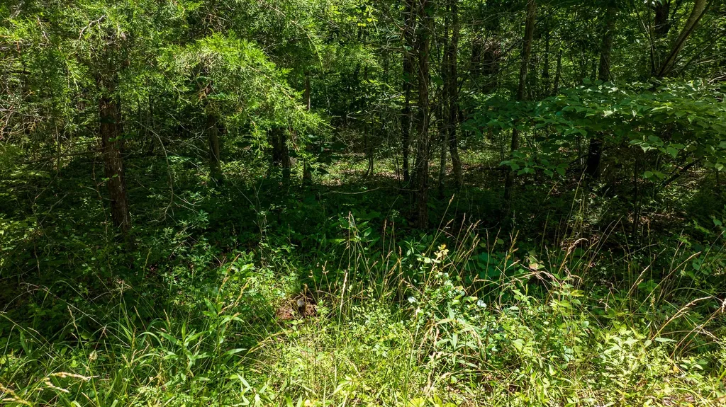 5011 Ostego Drive Crossville TN 38572