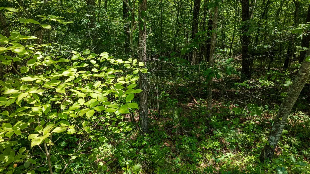 5011 Ostego Drive Crossville TN 38572