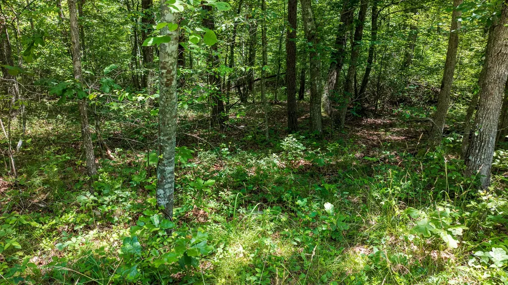 5011 Ostego Drive Crossville TN 38572