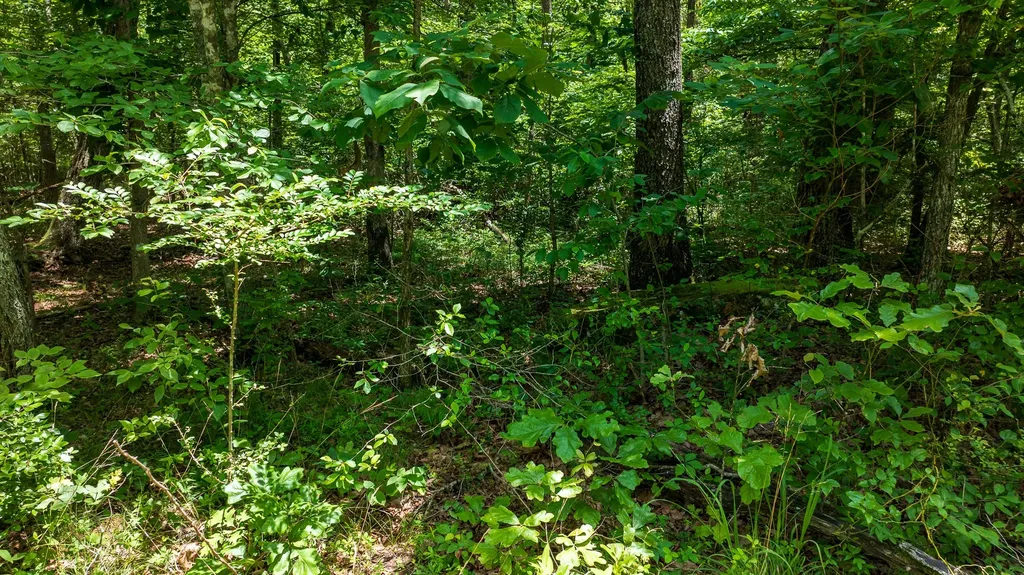 5011 Ostego Drive Crossville TN 38572