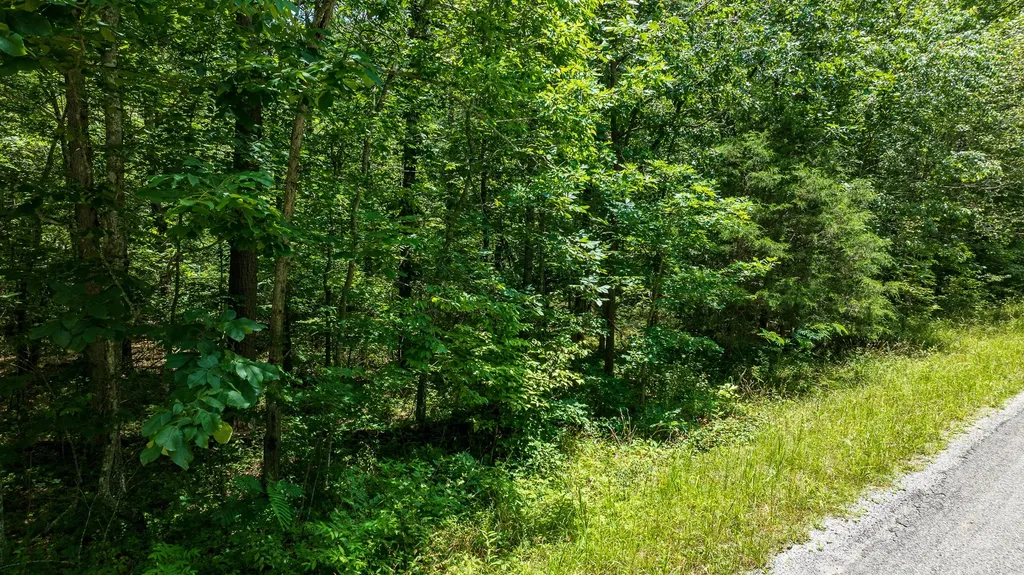 5011 Ostego Drive Crossville TN 38572