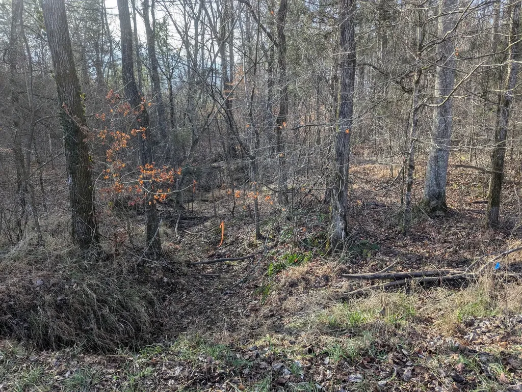 0 Jefferson Road Smithville TN 37166