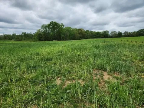 0 Indian Creek Road Huntland TN 37345