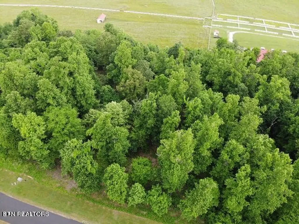 371 Walking Horse Trail Rockwood TN 37854