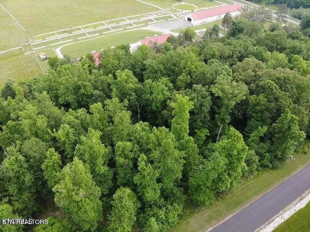 371 Walking Horse Trail Rockwood TN 37854