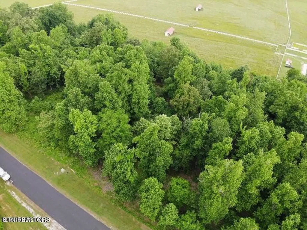 371 Walking Horse Trail Rockwood TN 37854