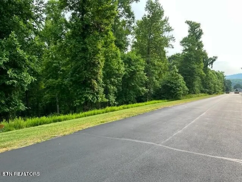 371 Walking Horse Trail Rockwood TN 37854