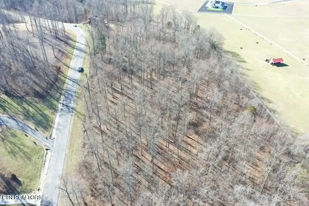371 Walking Horse Trail Rockwood TN 37854