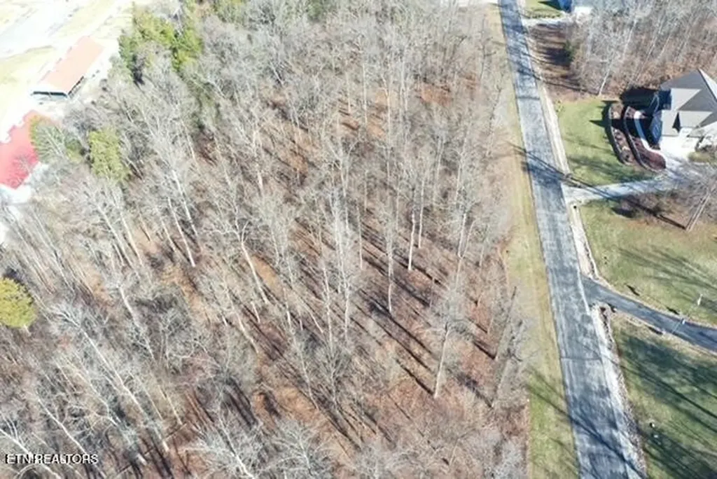 371 Walking Horse Trail Rockwood TN 37854
