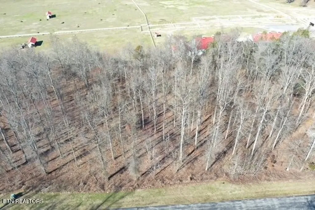 371 Walking Horse Trail Rockwood TN 37854