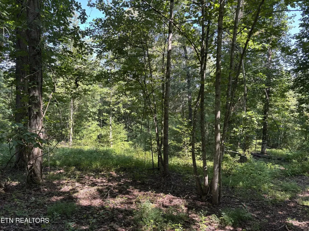 371 Walking Horse Trail Rockwood TN 37854