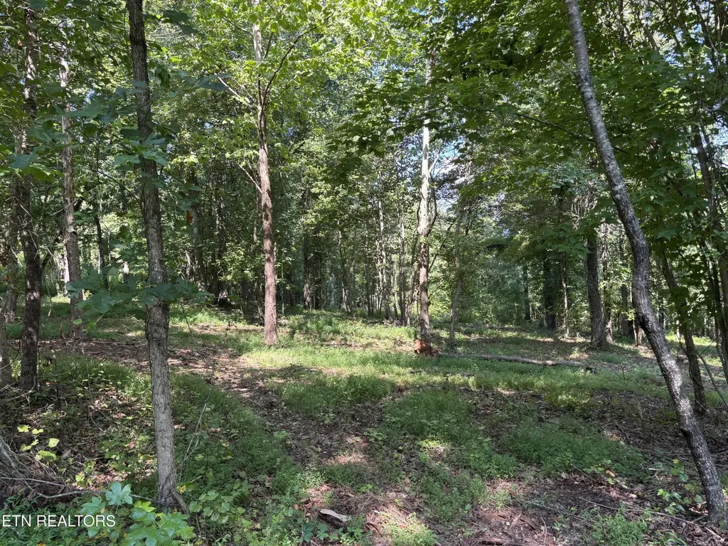 371 Walking Horse Trail Rockwood TN 37854